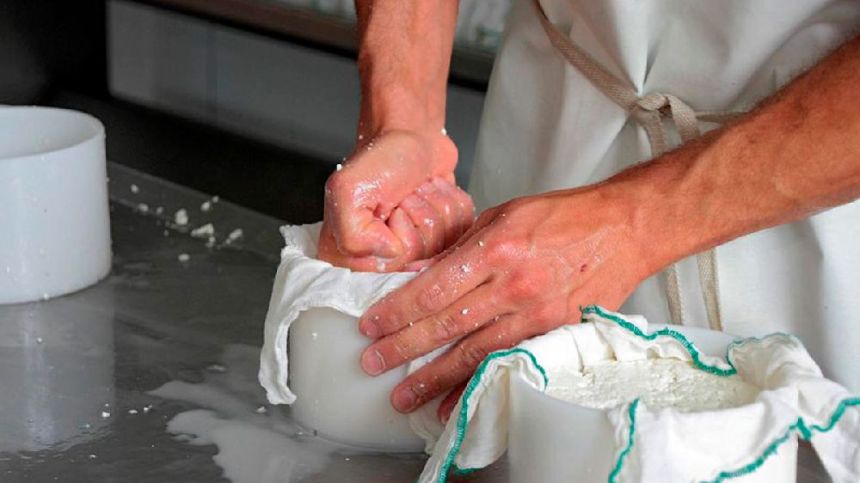 Cómo se elabora un queso artesanal de oveja: del pastoreo a la maduración